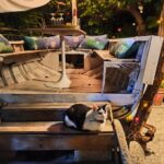 Casa Musella giardino aperitivo in barca 01